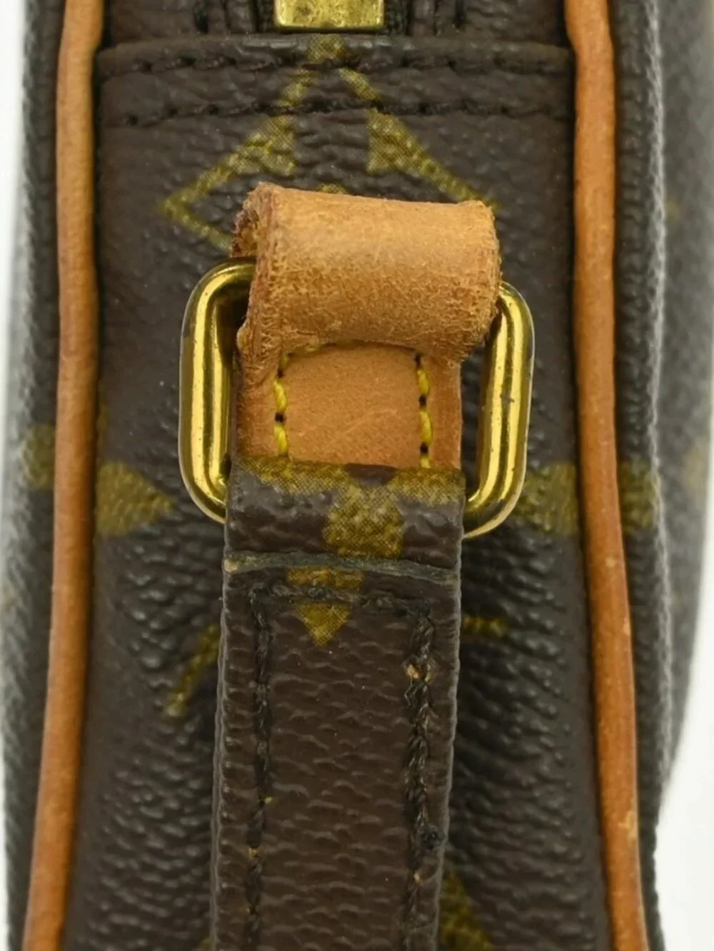 Louis Vuitton Monogram Mini Danube Shoulder Bag - Picture 11 of 16